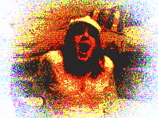 picture82.jpg